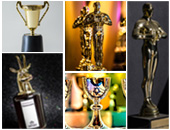 Awards & Trophies