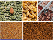 Food Grains