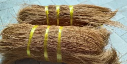 Bristle Coir Fibre
