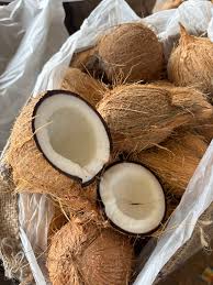 Coconut