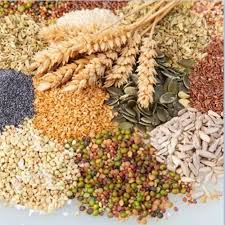 Food Grains