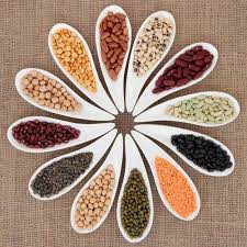 Organic Pulses