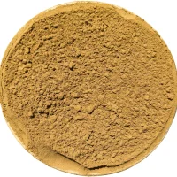 Shikakai Powder