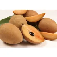 Fresh Sapota