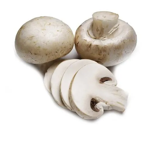 Fresh Mushroom